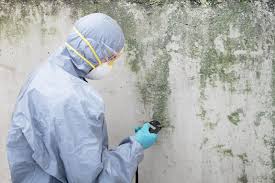 Mold Remediation for Rental Properties in Eglin Af, FL